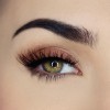 SOSU Premium Lashes - Alex